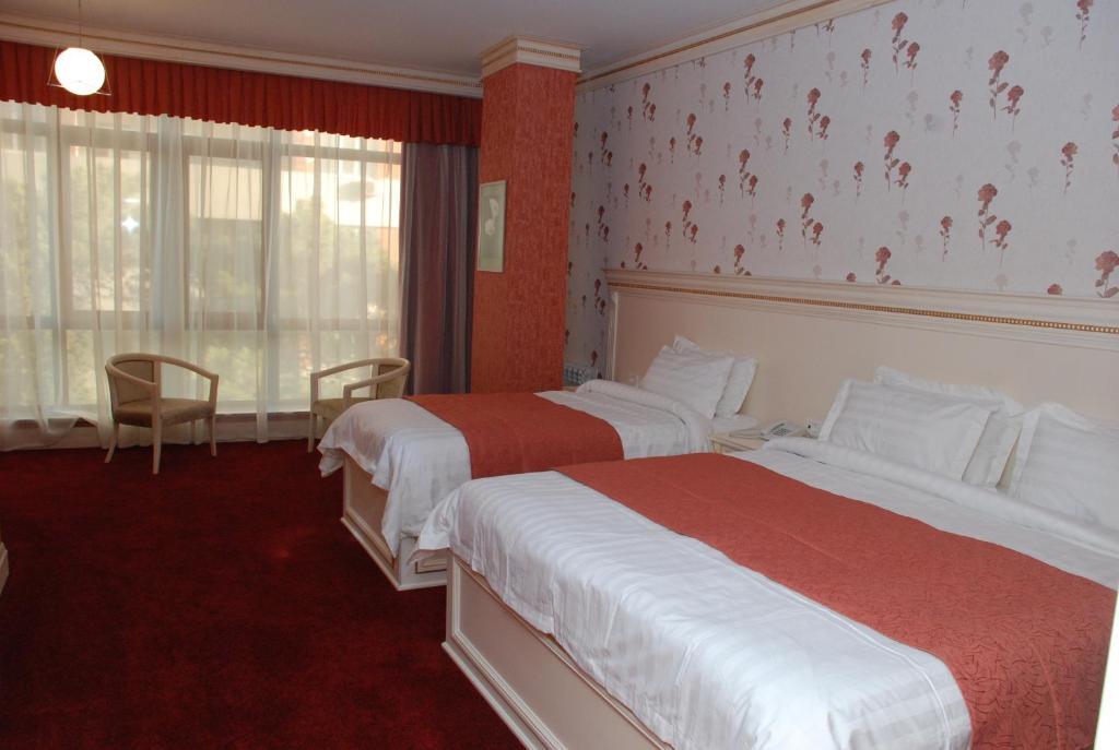 Alp Inn Hotel Baku Værelse billede